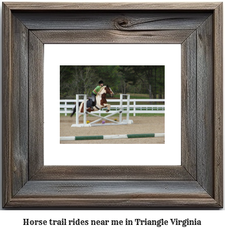 horse trail rides near me in Triangle, Virginia